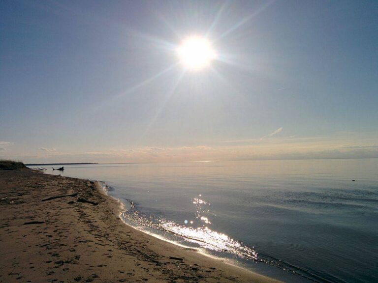 Kako prepoznati in zdraviti sončni udar?